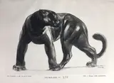 Panthère noire by Paul Jouve, Lithographie originale faite spécialement par l'artiste et jointe à l'invitation pour le v, sold Mar 2022