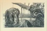 Eléphant et python by Paul Jouve, Lithographie originale, sur papier japon impérial, sold Mar 2021