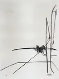 Le Funambule by Sam Szafran, Lithographie annotée EA et signée à la mine de plomb, sold Nov 2014