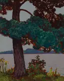 The Big Pine, Lake of the Woods by Frank Hans Johnston, 1920, oil on board, sold May 2024