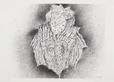 Lied à Émile Nelligan, planche no. 11 by Jean Paul Riopelle, lithograph on paper, sold Sep 2024