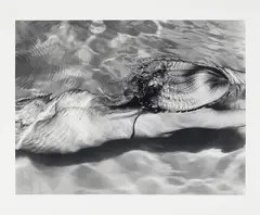 Mermaid 1, Amagansett, NY by Michael Dweck, gelatin silver print, sold Sep 2024
