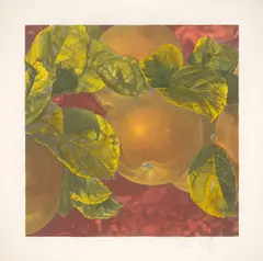 Äpfel by Karin Kneffel, 1996, Offset auf Papier, aquarelliert, sold Oct 2021