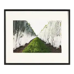 Photograph from Un-natural Landscapes by John Woodin, C-print in colors, sold May 2026