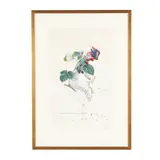 Framboisier (Raspberry) by Salvador Dalí, Etching and engraving with photolithography in colors, sold May 2026