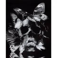 Vanité aux papillons by Philippe Pasqua, 2008, Tirage cibachrome monté sous Diasec, sold Dec 2018