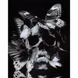 Vanité aux papillons by Philippe Pasqua, 2008, Tirage cibachrome monté sous Diasec, sold Dec 2018