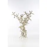 L'arbre aux elfes by Daniel Hourdé, 2018, Bronze à patine doré à l'or fin blanc, sold May 2019