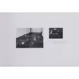 Lo faro il letterato, Tutta la vita - 1972 by Yannis Kounellis, Lithographie offset, signée et numérotée 29/90, sold Jun 2019