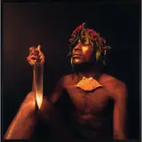 Nothing to lose XII (Bodies of Experience) by Rotimi Fani-Kayode, 1989, Photographie en couleurs, sold Nov 2019