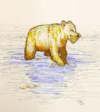 Taco Bear Drawing by Rich Stevens, Ink & marker on paper. Loose and unframed, sold Jun 2022