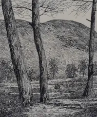 Grizedale by Alfred Wainwright, ink, sold Nov 2023