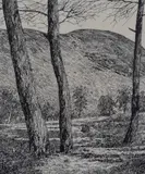 Grizedale by Alfred Wainwright, ink, sold Nov 2023