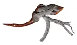 A polished driftwood sculpture of a heron, late 20th century by James Sean, sculpture, sold Jan 2025