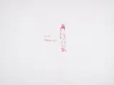Dog Brains by Tracey Emin, Screenprint in colours, sold Dec 2024