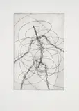 Feeling Material by Antony Gormley, Etching printed with tone, offered Dec 2024