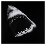 Untitled by Robert Longo, print, offered Dec 2024