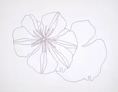 Ten Flower Pieces by Derrick Greaves, ink, offered Dec 2024