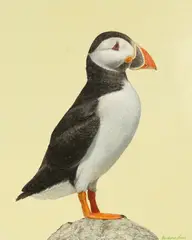 Untitled by Christopher James, 2019, oil on panel, offered Mar 2025