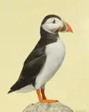 Untitled by Christopher James, 2019, oil on panel, offered Mar 2025