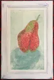 Pear by Tracy Myers, 2003, oil, sold Oct 2025