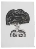 Untitled by Alan Salisbury, 1969, etching, offered Oct 2025