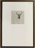 Inquisitive Stag by Guy Allen, etching, sold Oct 2025
