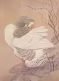 Print by Charles Frederick Tunnicliffe, 1976, print, sold Jan 2026