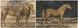 Untitled by Norman Webster, print (other), sold Jan 2026