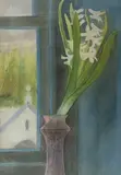 White Hyacinth by Joan Connell, 1993, watercolour, sold Dec 2025