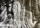 South Crete, Folding Rocks by John Hedley, print (other), sold Dec 2025