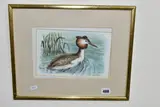 Great crested grebe by Ralph Waterhouse, watercolour on paper, sold Aug 2023