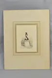 An illustration of a young woman by Alfred Henry Forrester, ink on paper, sold Aug 2023