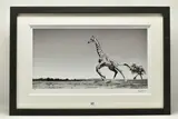 Dance by Anup Shah, print, sold Aug 2023