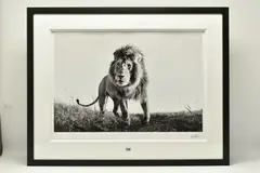 Hunter by Anup Shah, print, sold Aug 2023