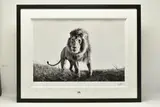 Hunter by Anup Shah, print, sold Aug 2023
