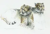Untitled by Bryan Hanlon, Pencil and watercolour, sold Jun 2023