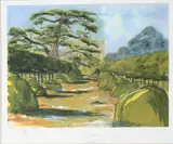 The Thyme Walk by Hm King Charles III, pencil, sold Jun 2023