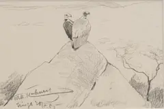 Eastern Africa by Wilhelm Kuhnert, 1907, graphite on paper, sold Aug 2020