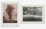 Group, two (2) prints Moonlight in Vermont and Illyria by Daniel Lang, etching with aquatint, sold Sep 2020