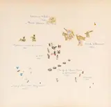 Laurence d'Arabie by Philippe Favier, Collage, sold Sep 2023