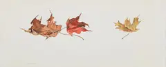 Three Maple Leaves by Robert Bateman, acrylic on paper, sold Jul 2024