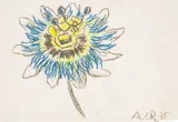 Passionsblume by Christian Rohlfs, 1935, Farbkreide auf Japan, sold Jan 2023