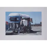 Trailer and horse - circa 1980 by Richard McLean, Lithographie en couleurs sur papier Arches filigrané, toutes marges, sold Dec 2019
