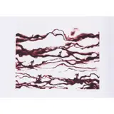 Field of Fire - 2005 by Michal Rovner, Sérigraphie en couleurs sur papier BFK Rives, sold Dec 2019