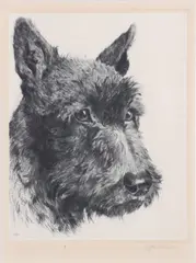 Untitled by Curt Meyer-Eberhardt, etching Scottish Terrier, sold May 2023