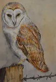 A mixed media by D.N Robinson, mixed media, offered Oct 2023