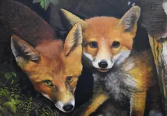 A fox and fox cub by Frank Luke, oil on board, sold Oct 2023