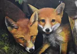 A fox and fox cub by Frank Luke, oil on board, sold Oct 2023