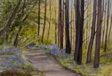 Woodland Walk by Margaret Williams, watercolour, offered Aug 2023